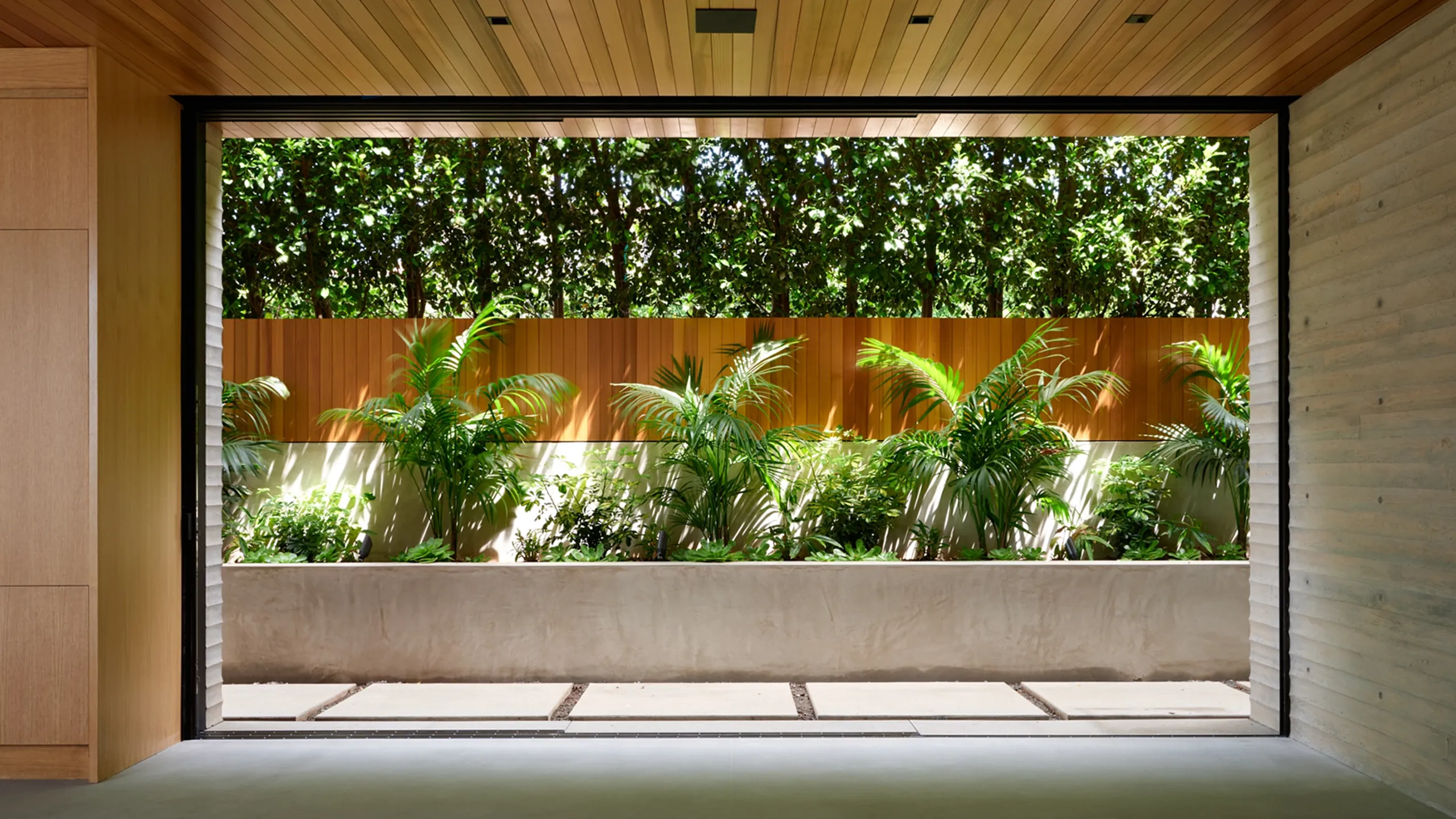 Tropical planting framed by warm timber architecture